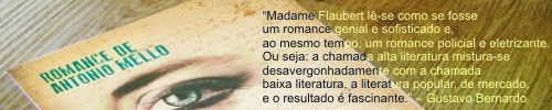 Madame Flaubert, de Antonio Mello