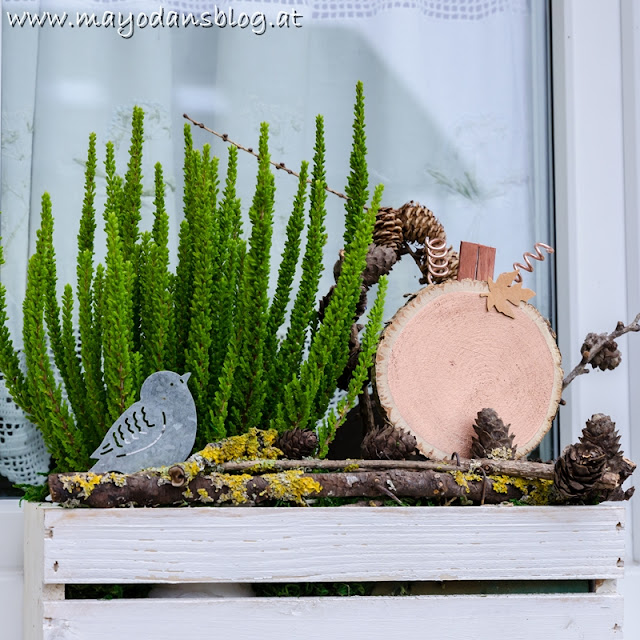 Fensterkästen im Herbst