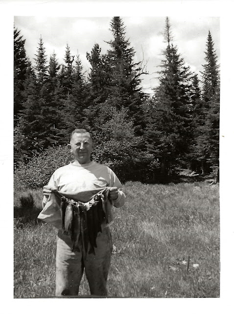 Trout taken in stream and at Poland Pond Dam -Mike Putnam, 21 June 1946