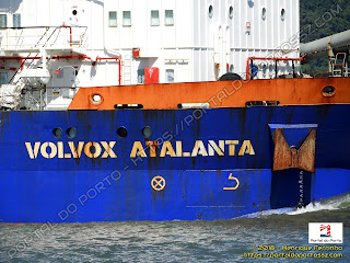 Volvox Atalanta