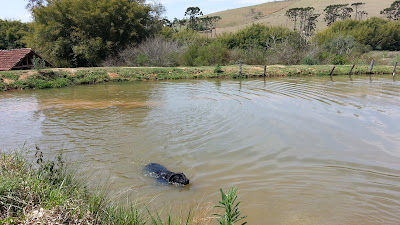 lago no Pé na Trilha