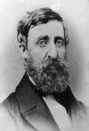 Henry David Thoreau Scientist Capitalist Land Surveyor - henry david thoreau scientist capitalist land surveyor