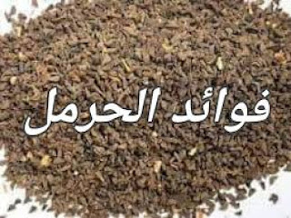 الحرمل علاج الصداع