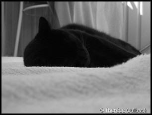 DSCF0986