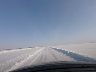 Kujutis