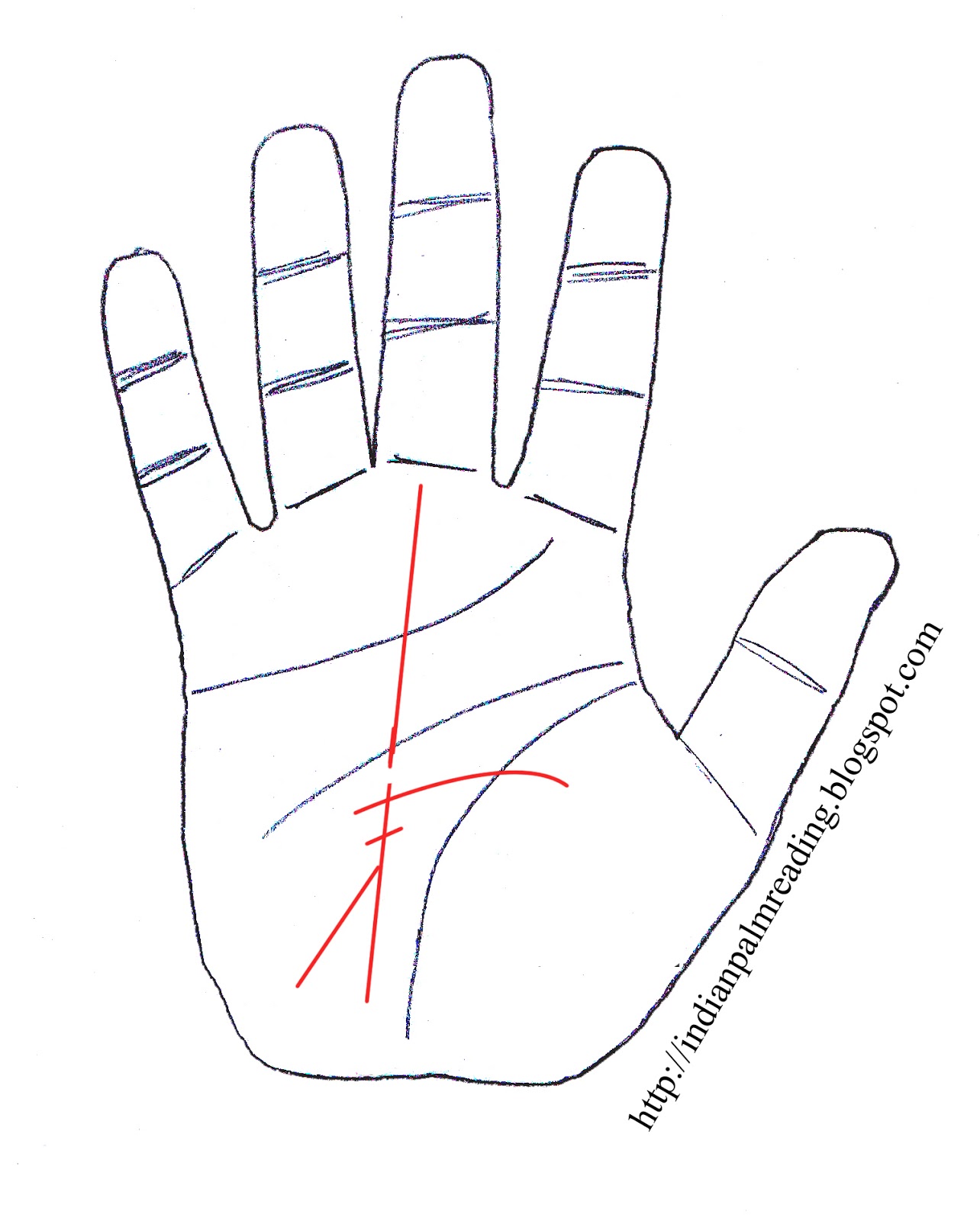 Learn Basic Rules, Secrets And Facts Of Indian Palmistry | INDIAN ...