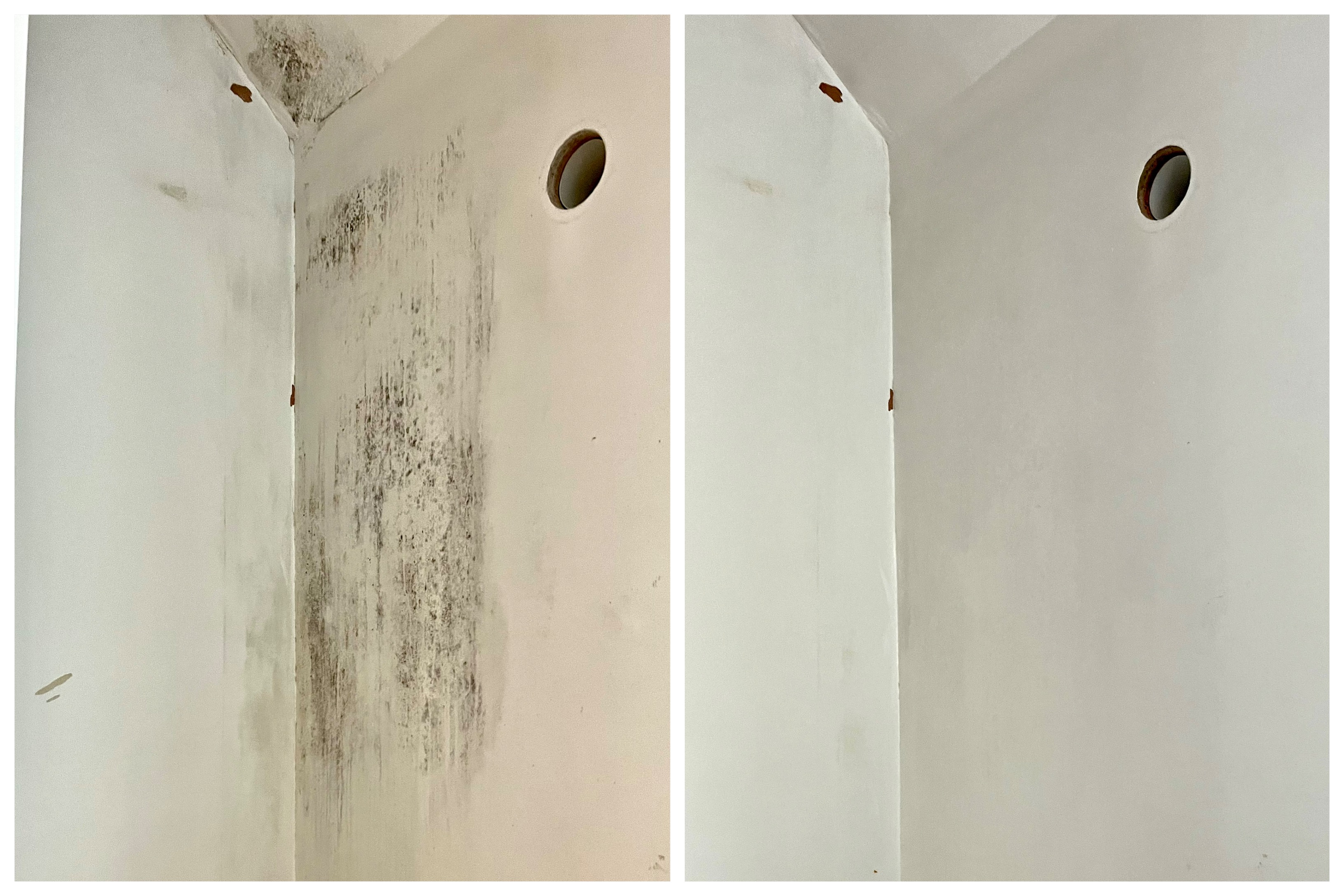 A before and after wall with bad black mould patch after treatment with dryzone