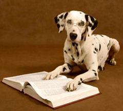 dalmatian_reading_255px