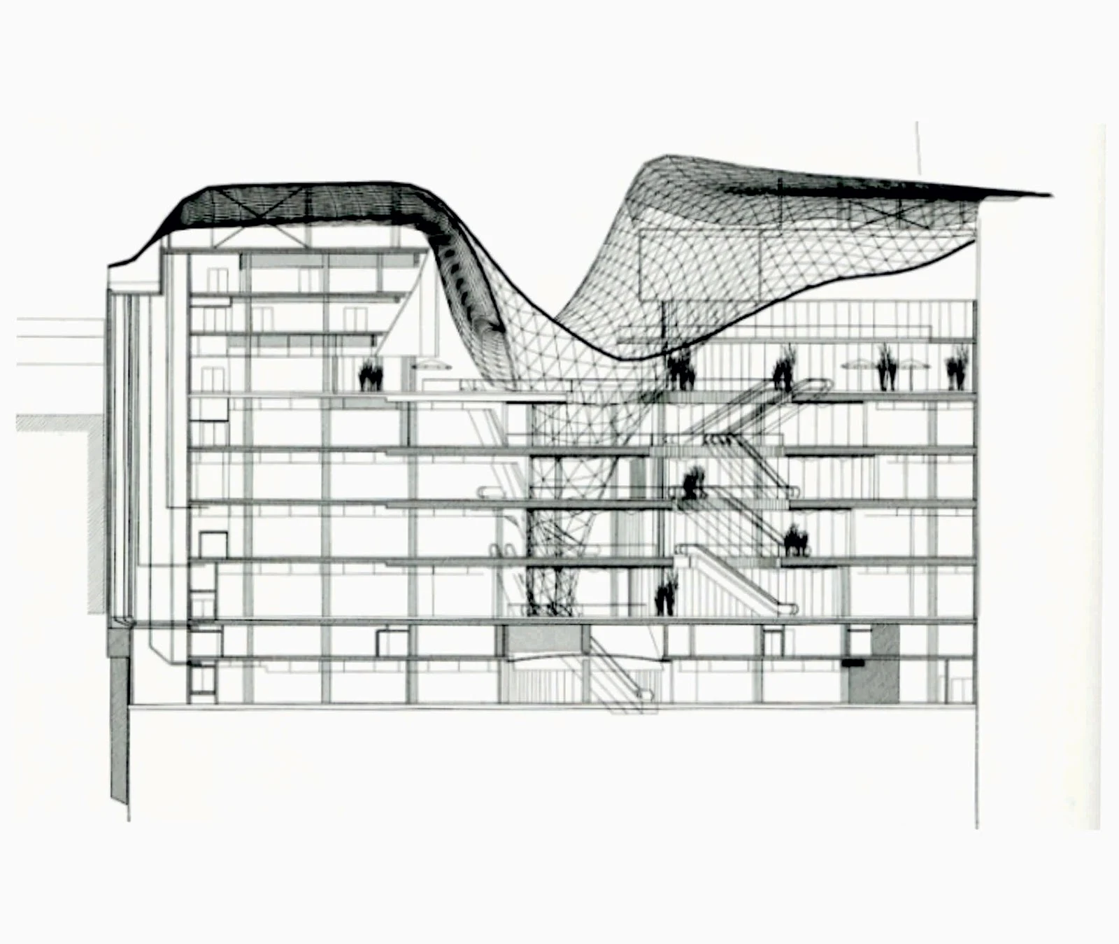 Fuksas 12