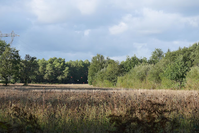 lieu dit les parcs renac 35