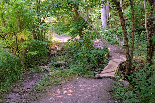 Trail along Highland Creek