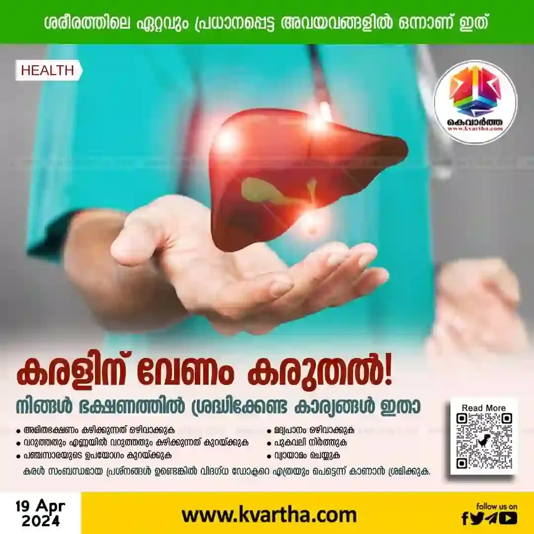 News, Malayalam News, National, Health, World Liver Day, Lifestyle, Vegitables, Frouts, World Liver Day: Is your diet damaging your liver?
