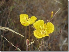 IMG_3638 (1280x960)