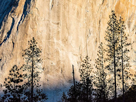 Tree Silhouettes at Yosemite's El Capitan by Jeanne Selep california USA