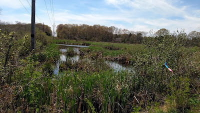 swarp at south county bike path