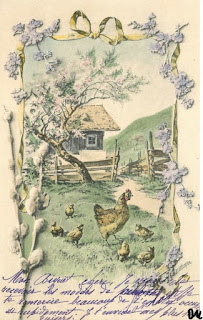 culture poule jardin animaux