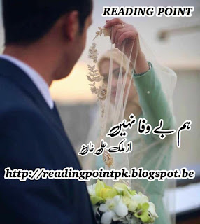 Hum bewafa nahin by Malik Ali Khan  Online Reading