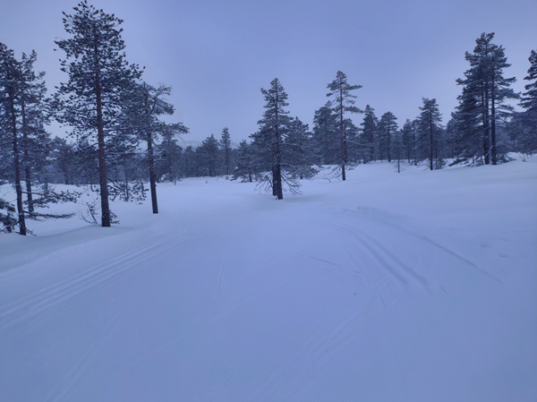 vikerfjell ringerudsetera søndre flåtjern