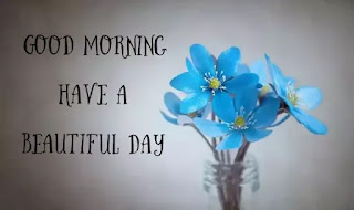 Good morning flower images free download