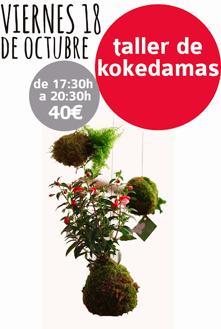 kokedamas