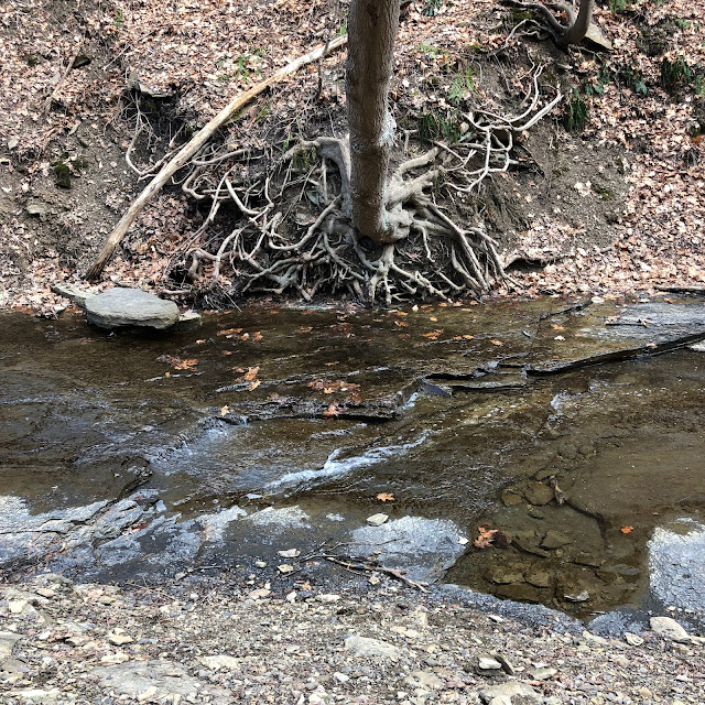 The creek gracefully ripples over water-worn rocks at Fall Run Park in Glenshaw, Pennsylvania.