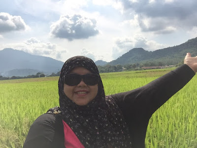 NASI DAGANG PAK MALAU DI LANGKAWI