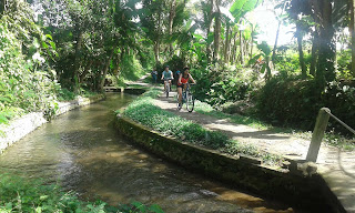 E-bike tour Ubud