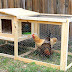 Chicken Coop Small Backyard
