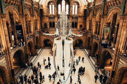 The Very Best and Worst time to Visit London - When to Go and What to See