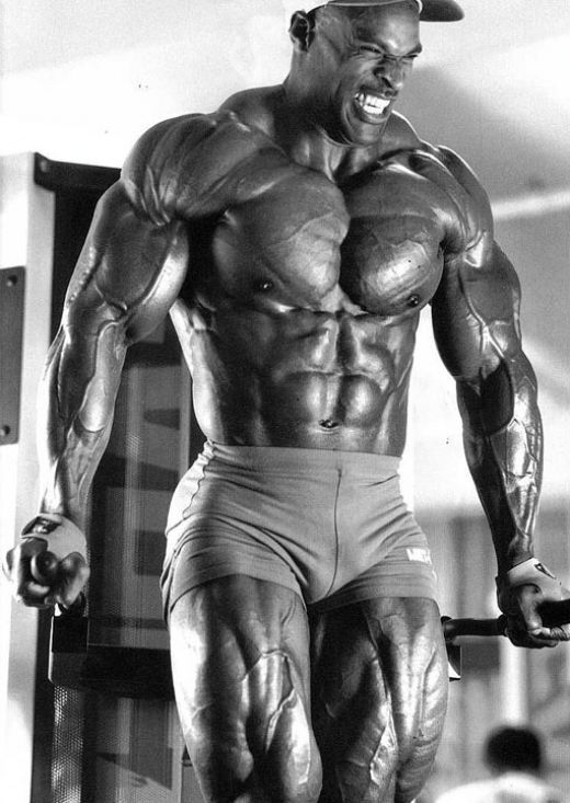 arnold schwarzenegger workout photos. arnold schwarzenegger workout