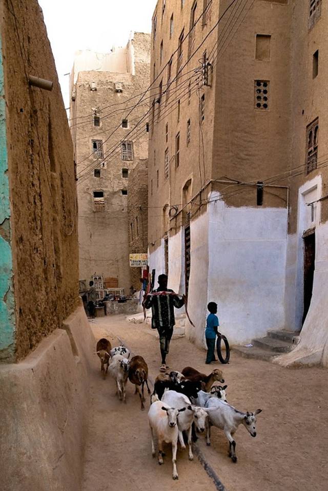 The city of Shibam, located in the central-western area of Hadhramaut Governorate, in the Ramlat al-Sab`atayn desert, is best known for its towering mudbrick skyscrapers. This small town of 7000 is packed with around 500 mud houses standing between 5 and 11 stories tall and reaching 100 feet high, all constructed entirely of mud bricks. The bizarre skyline that the high rise buildings bestow upon the city has earned Shibam the moniker "Manhattan of the Desert."