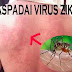 Cara mengetahui gejala virus zika
