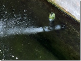 Venturi for aeration