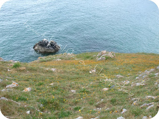 Barafundle Bay