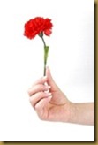 uma flor para vc