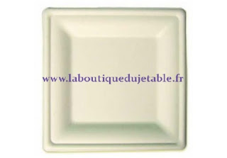 Assiette jetable carrée en pulpe végétale biodégradable blanche