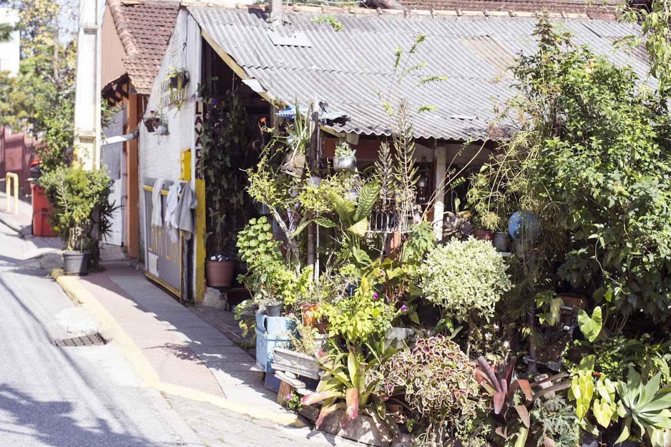 The Greenest Car Wash Ever