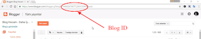 blogger blog id numarası