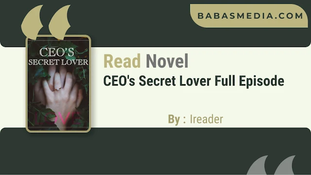 Cover CEO's Secret Lover Novel By Ireader