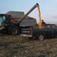 Corn, soy show "renewed vigor" on low crop forecasts