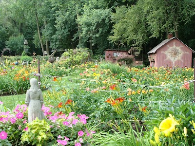 Daylily Haiku Thursday - reminiscing on Illinois...