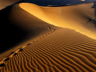 Desierto, ecología, cactus, sol, clima, geografía, agua, sequía, nubes