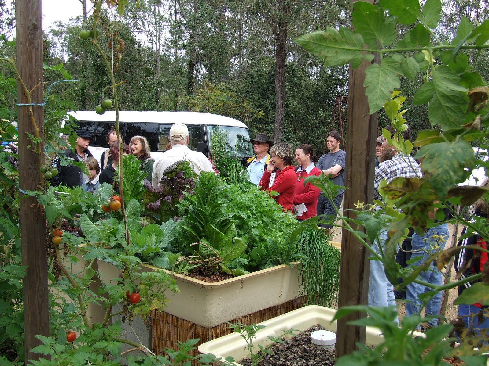 boonah organisation for a sustainable shire: aquaponics is the go !!