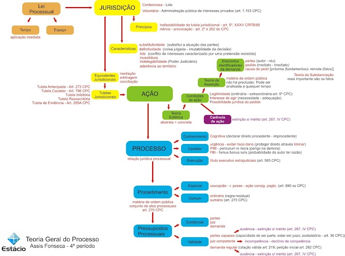 Teoria Geral Do Processo Resumo