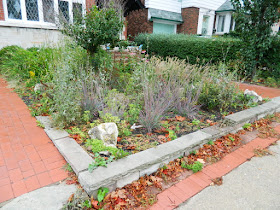 Toronto Gardening Services Midtown Toronto Fall Garden Cleanup before by Paul Jung Gardening Services