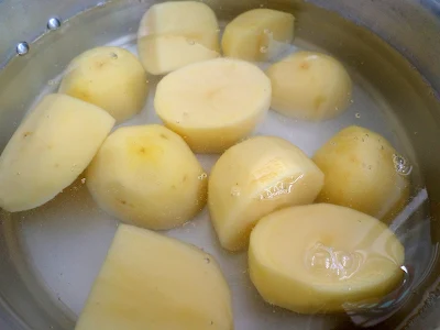 como ganhar dinheiro pure de batata