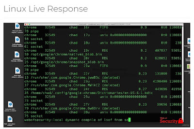 Linux Live Response