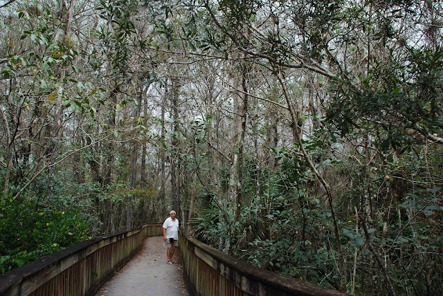Big Cypress National Preserve