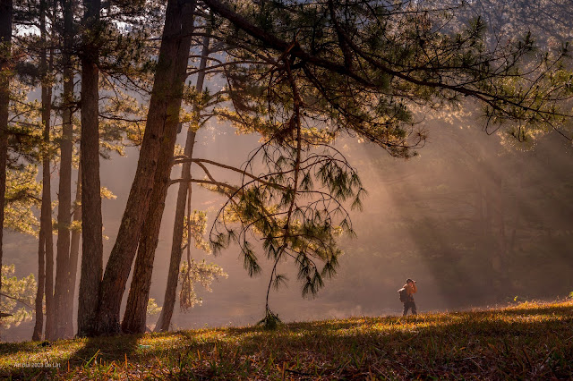 5 day photo tour Da Lat - chasing the mist