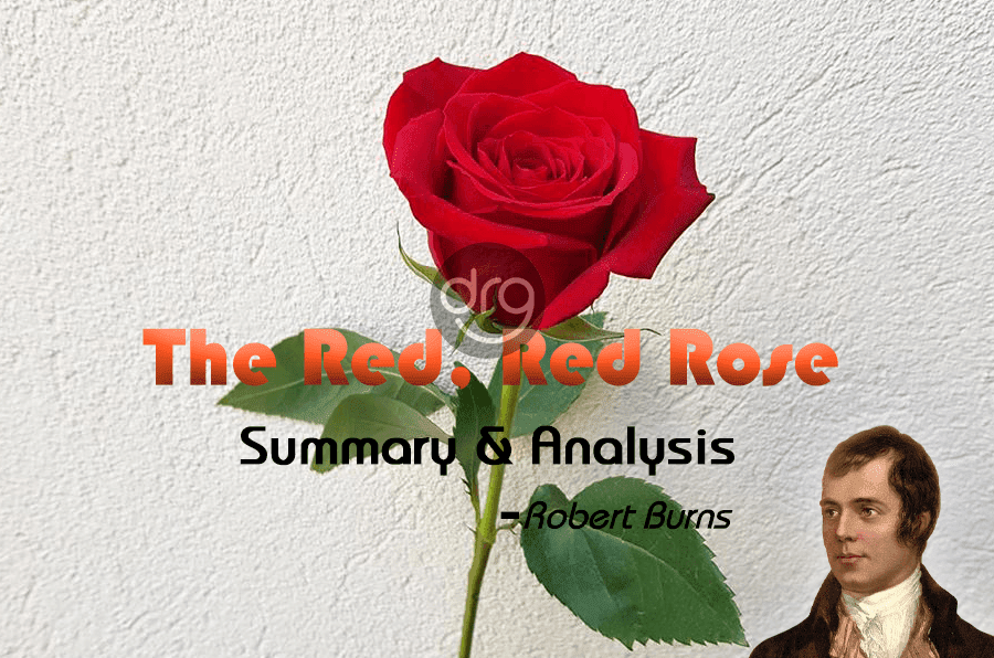 The-Red-Red-Rose-Summary-and-Analysis-Grade-11-English-Section-II-Literature-Unit-2-Poems